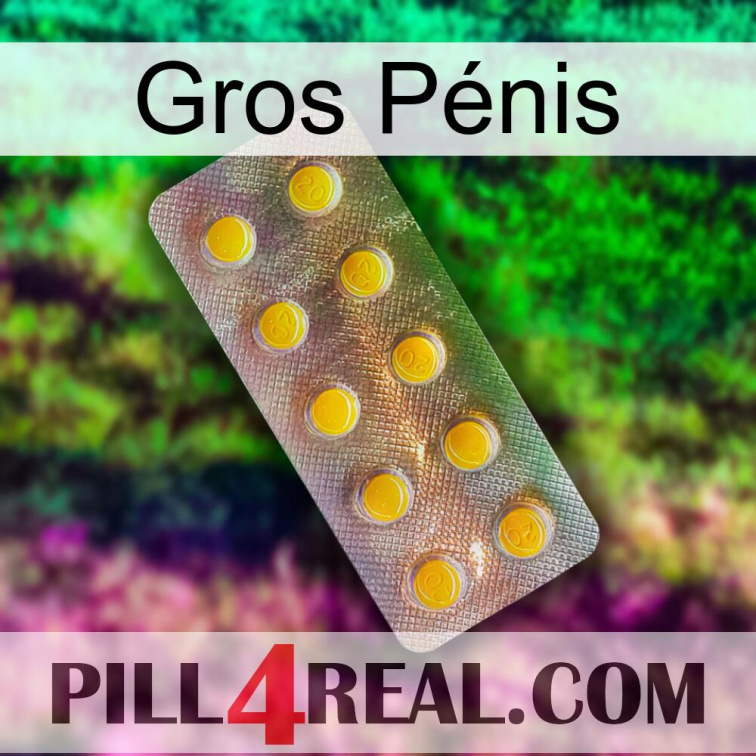 Gros Pénis new11